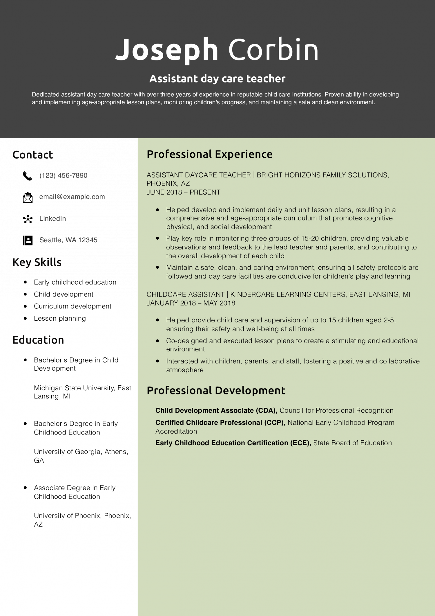 Assistant day care teacher Resume Example
