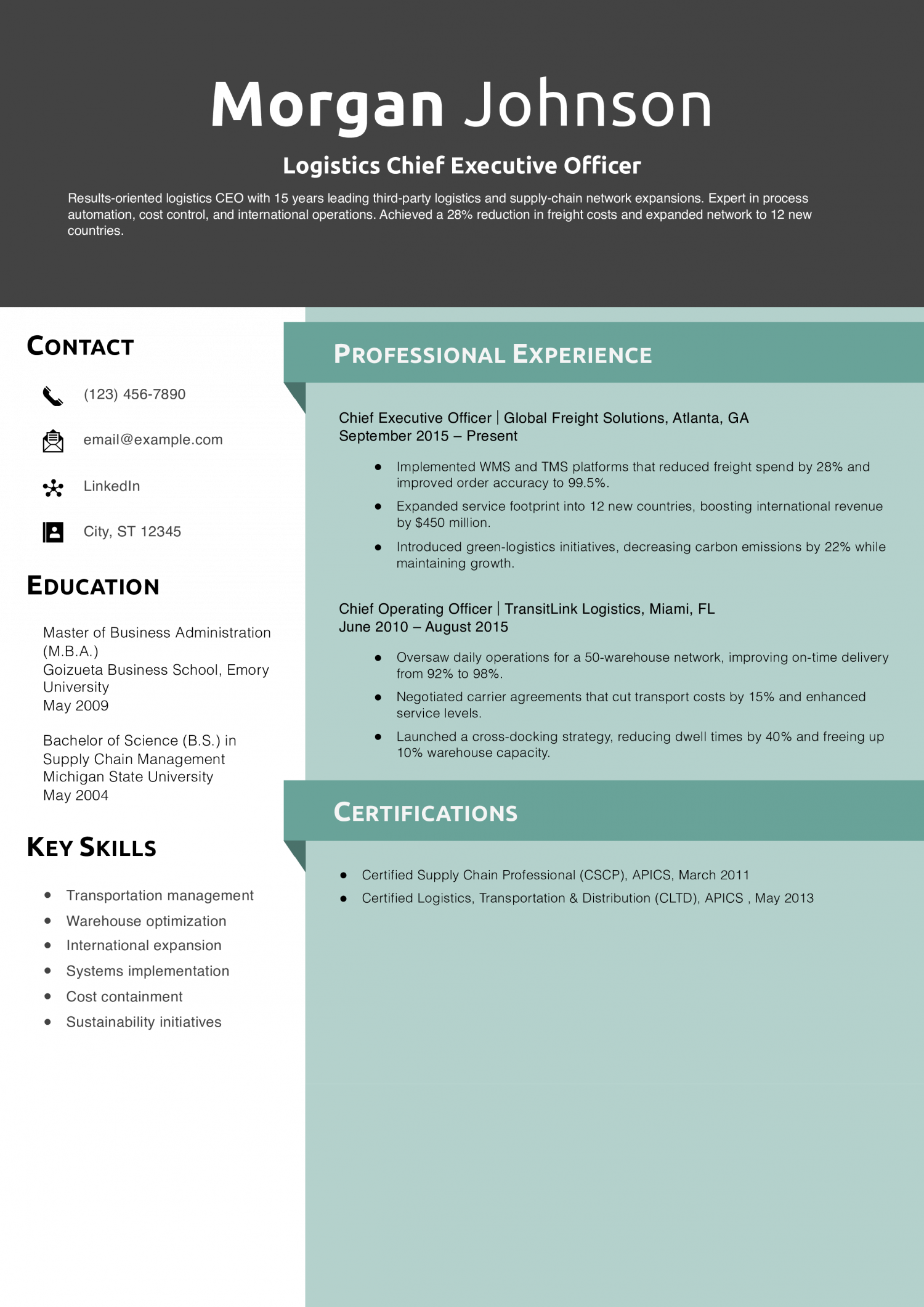 Logistics Chief Executive Officer Resume Example