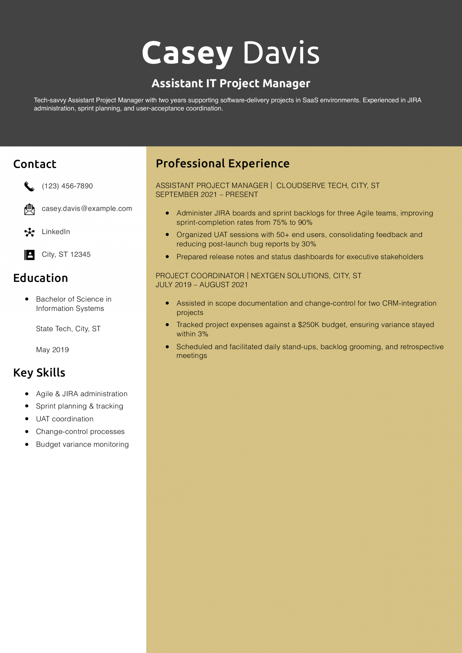 Assistant IT Project Manager Resume Example