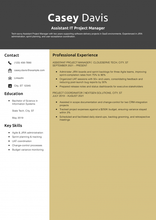 Assistant IT Project Manager Resume Example