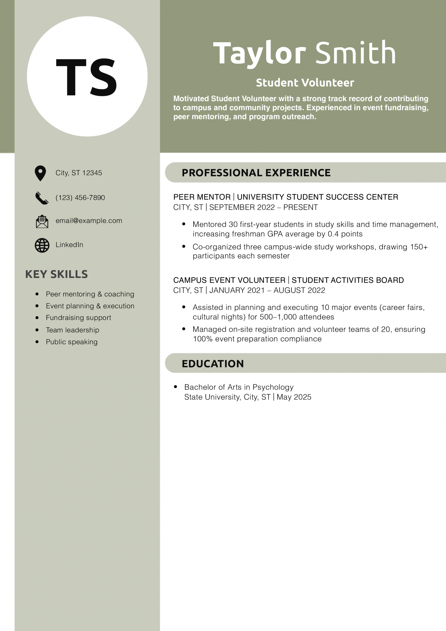 Student Volunteer Resume Example