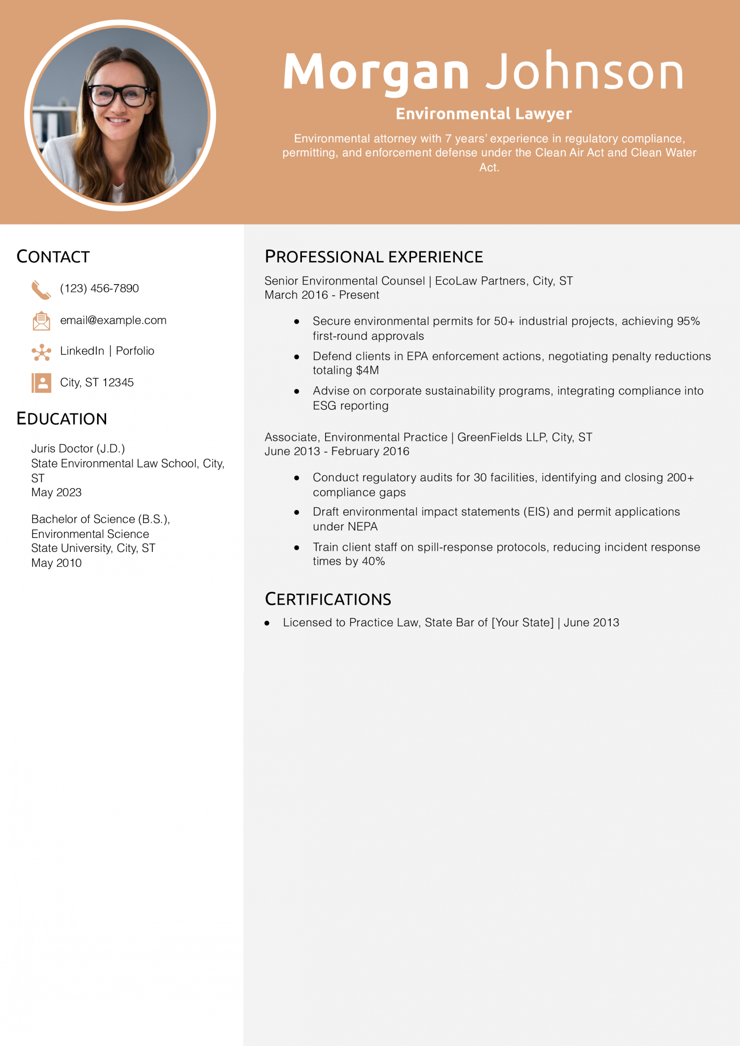 Environmental Lawyer Resume Example