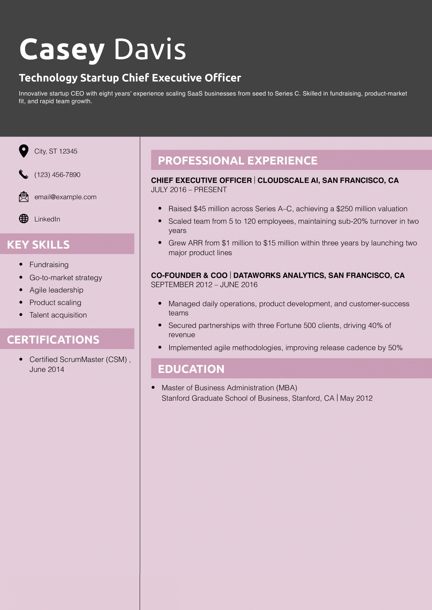 Technology Startup Chief Executive Officer Resume Example