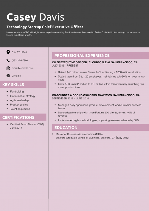 Technology Startup Chief Executive Officer Resume Example