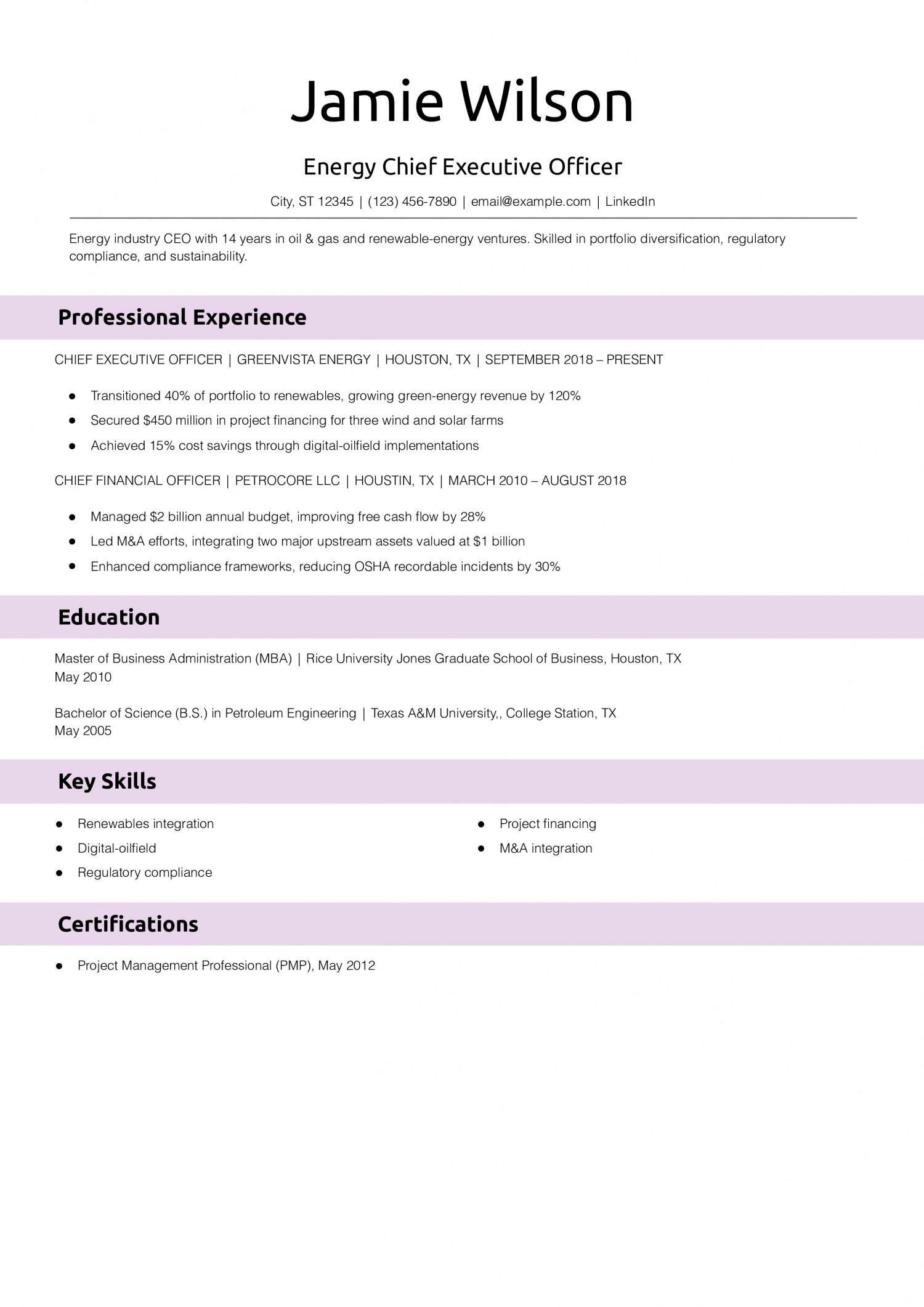 Energy Chief Executive Officer Resume Example