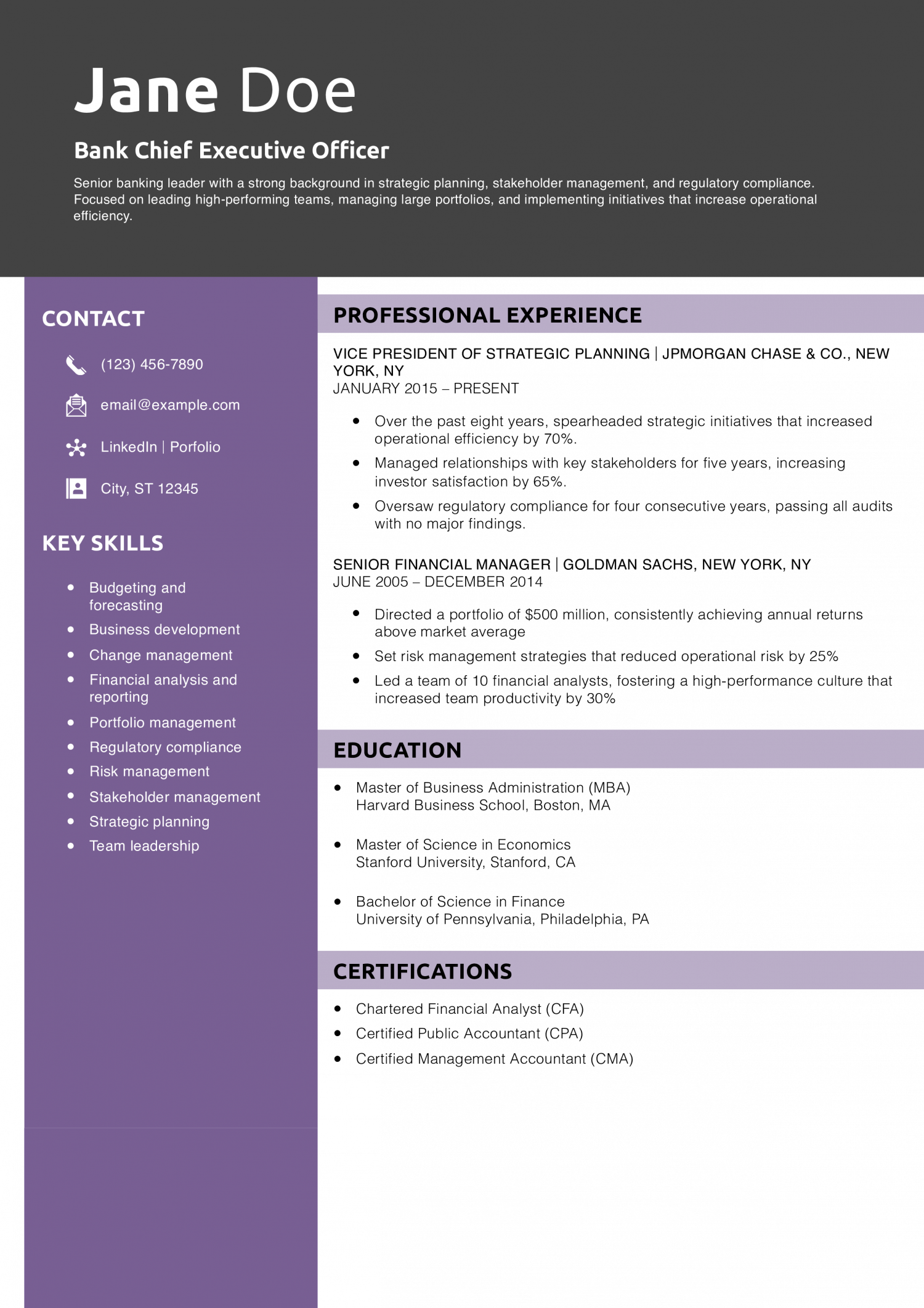 Bank Chief Executive Officer Resume Example