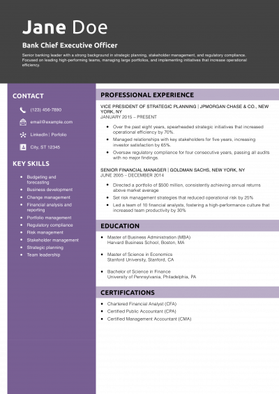 Bank Chief Executive Officer Resume Example