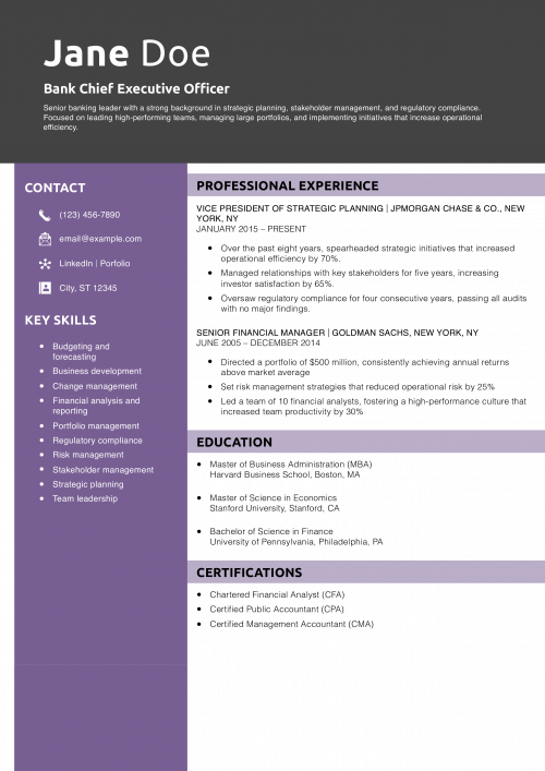 Bank Chief Executive Officer Resume Example