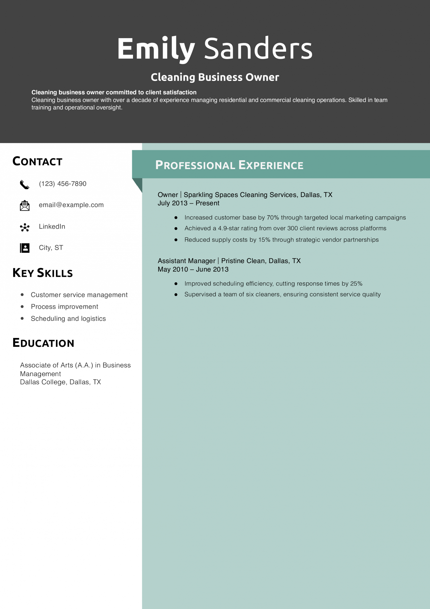 Cleaning Business Owner Resume