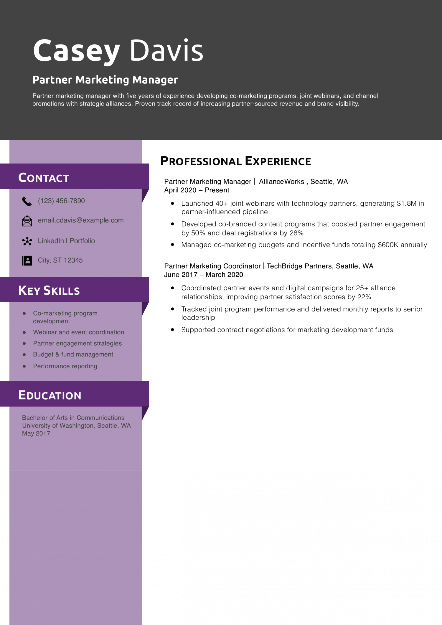 Partner Marketing Manager Resume Example