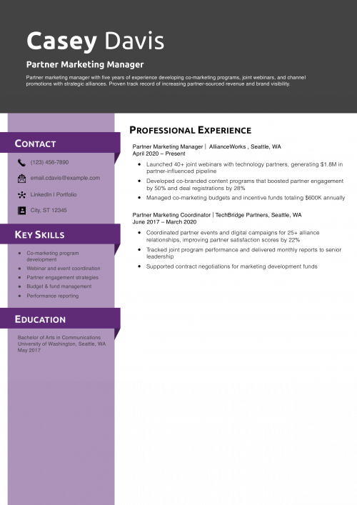Partner Marketing Manager Resume Example