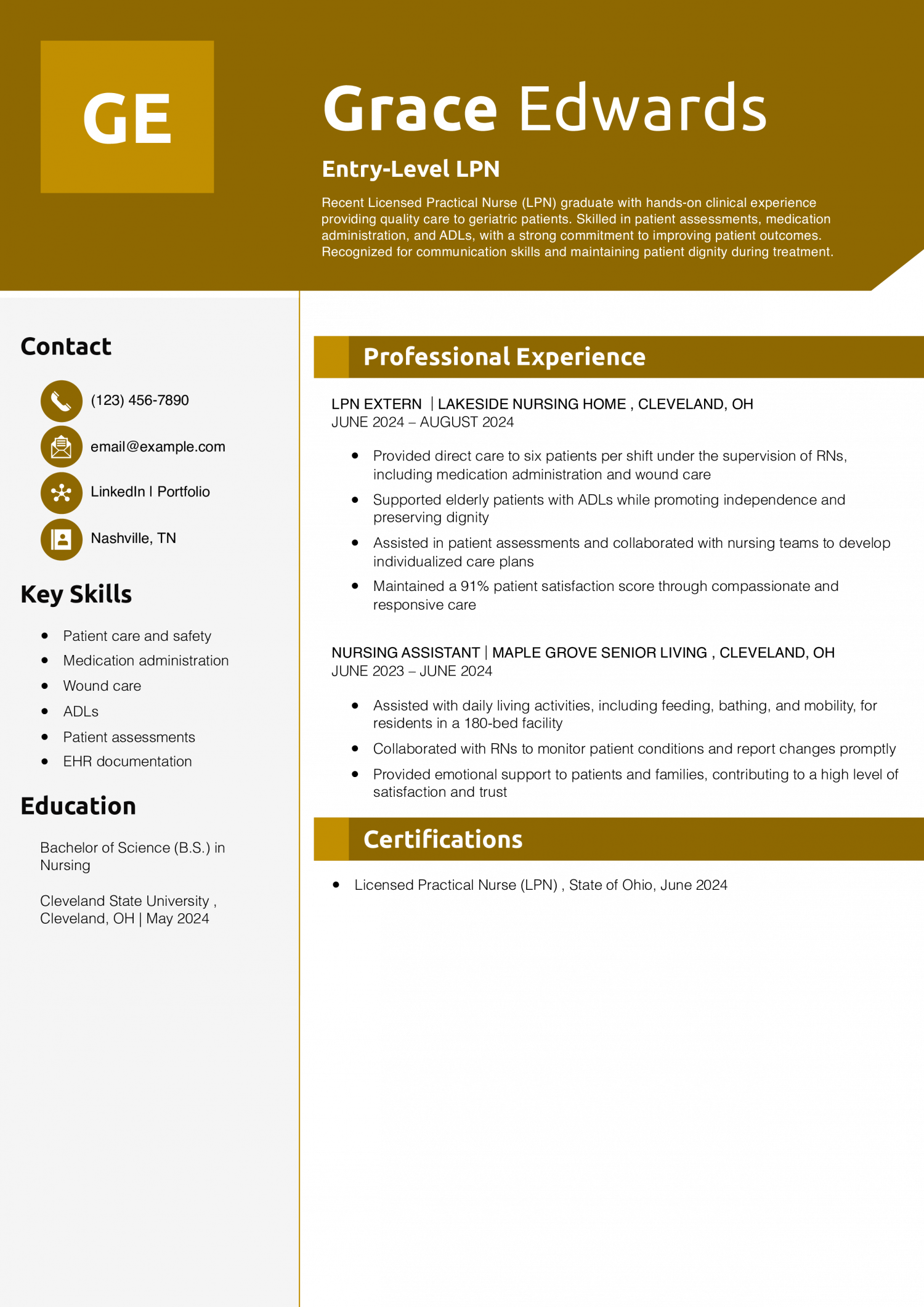 Entry-Level LPN Resume Example