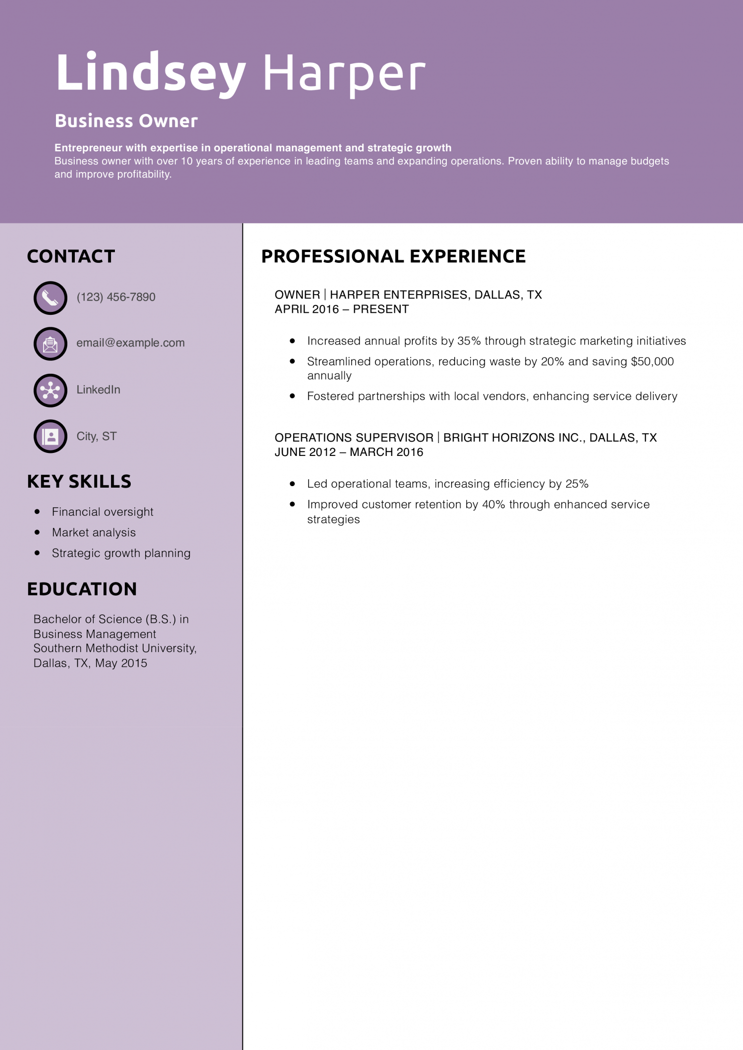 Business Owner Resume PDF