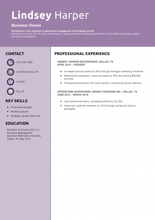 Business Owner Resume PDF
