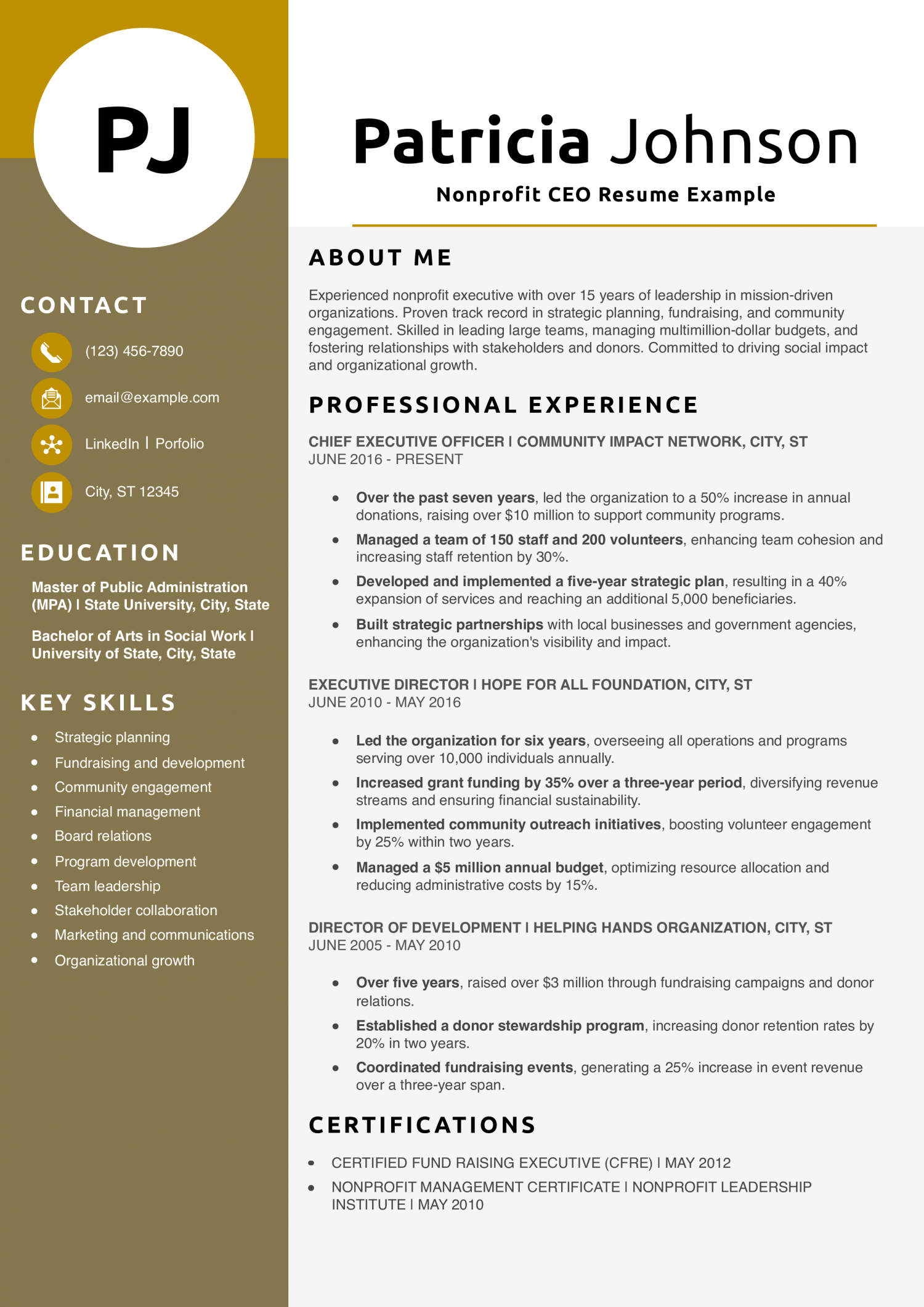 Nonprofit CEO Resume Example