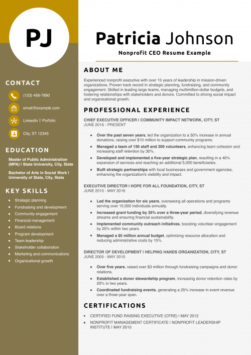 Nonprofit CEO Resume Example