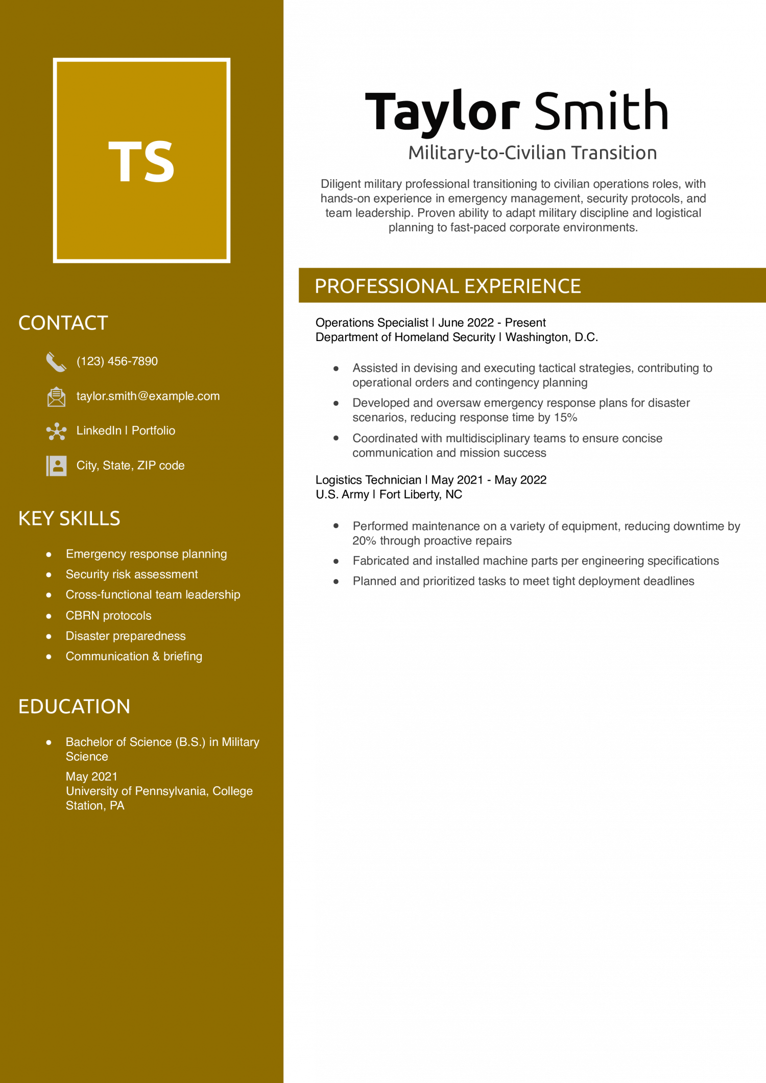 Military-to-Civilian Transition Resume Example 