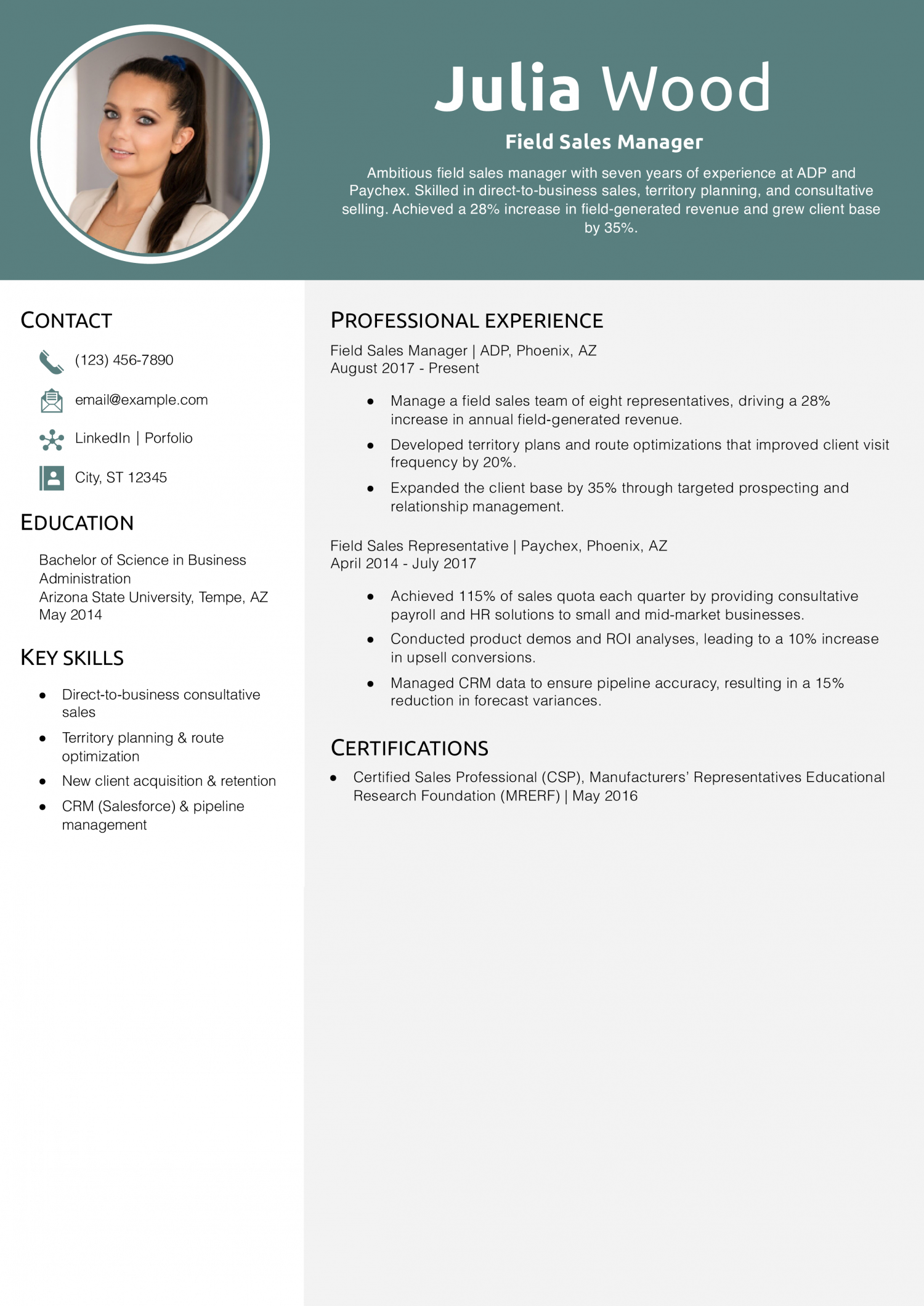 Field Sales Manager Resume Example