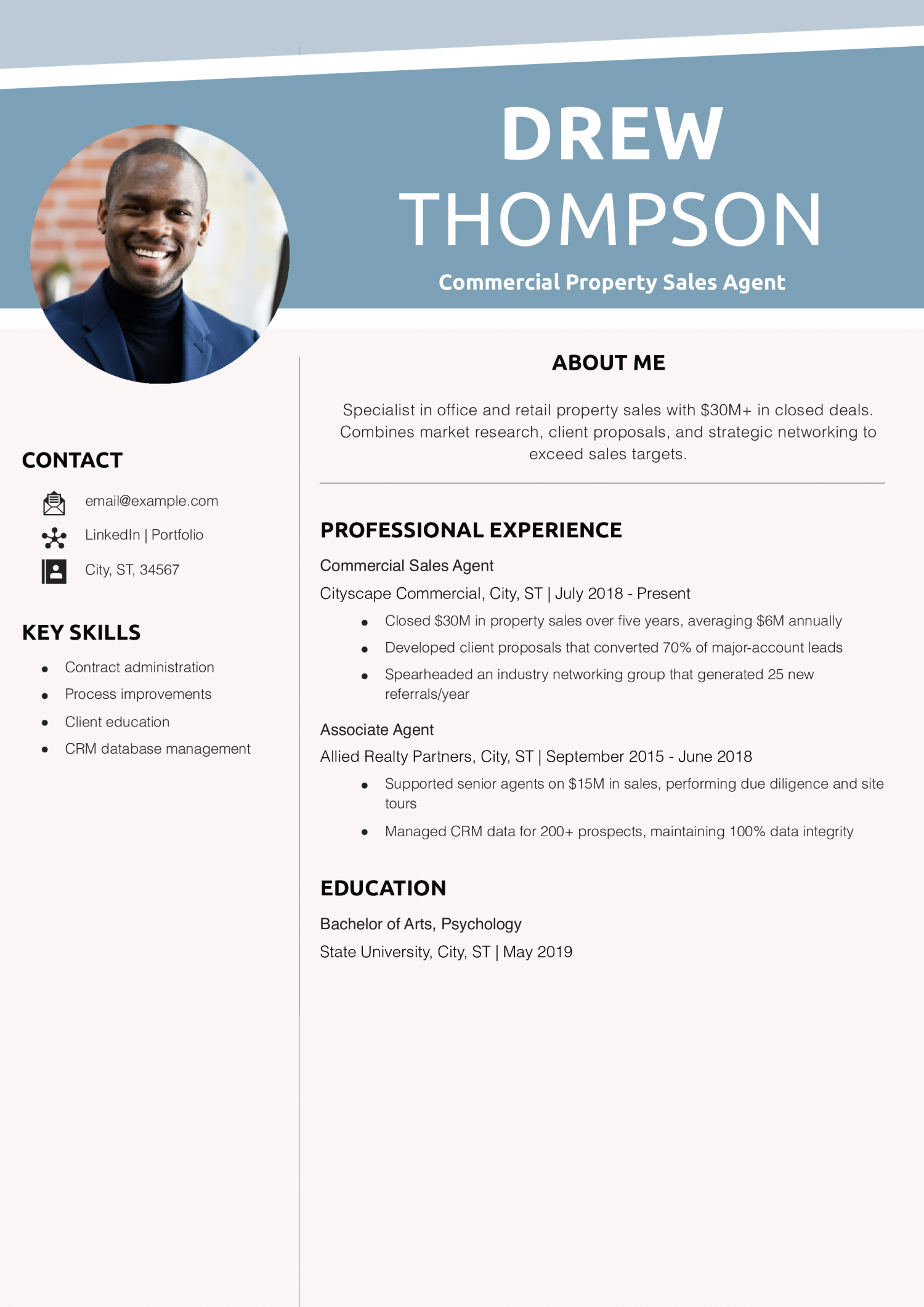 Commercial Property Sales Agent Resume