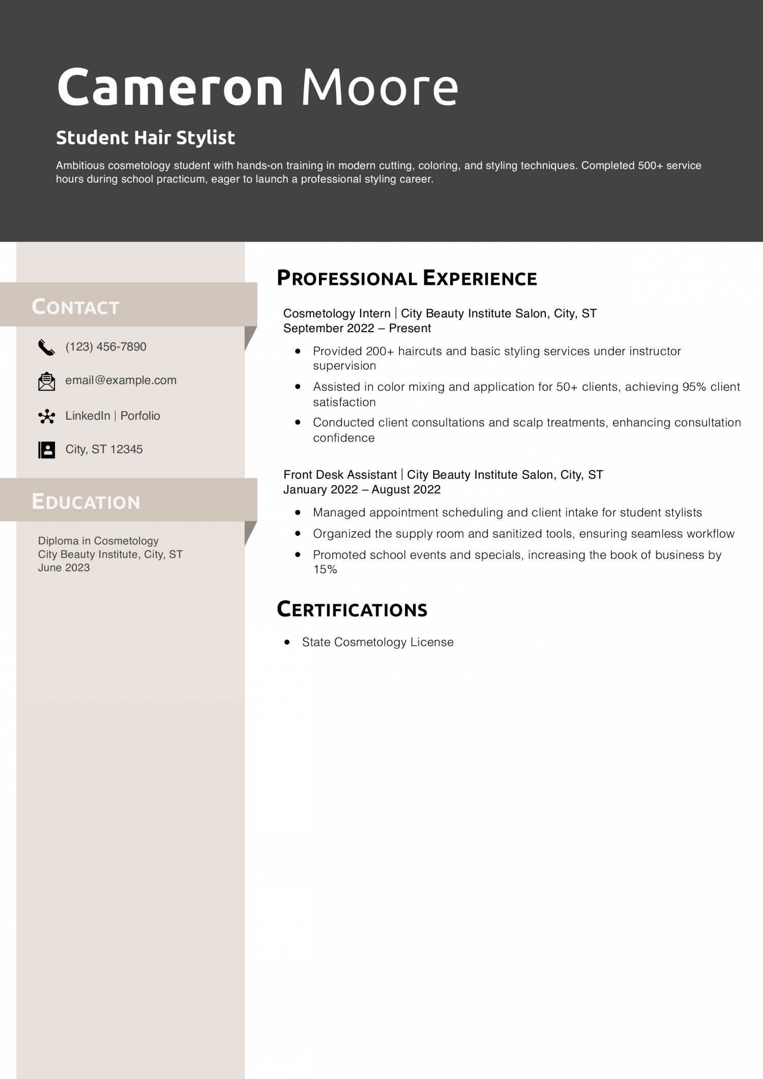 Student Hair Stylist Resume Example