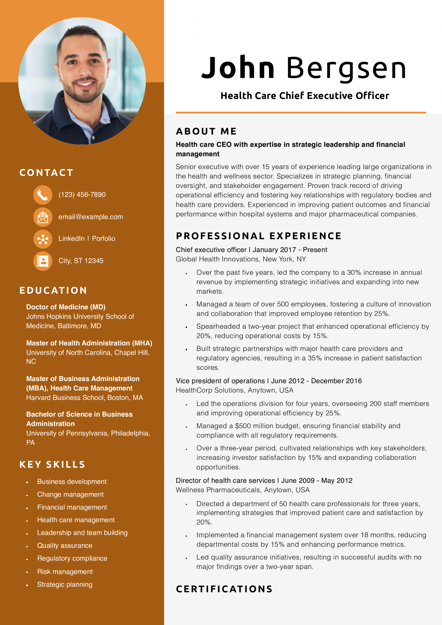 Health Care Chief Executive Officer Resume Example