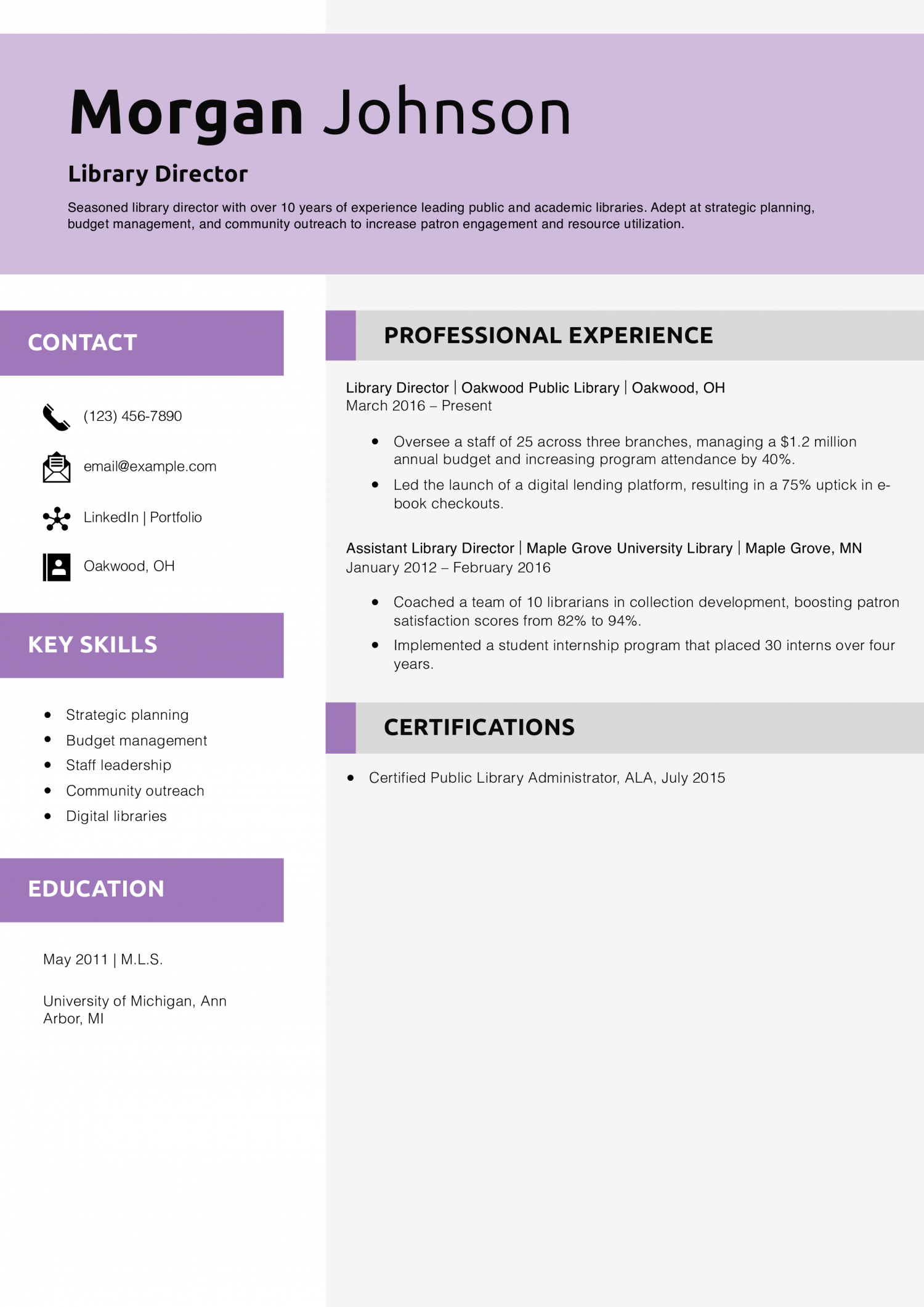 Library Director Resume Example