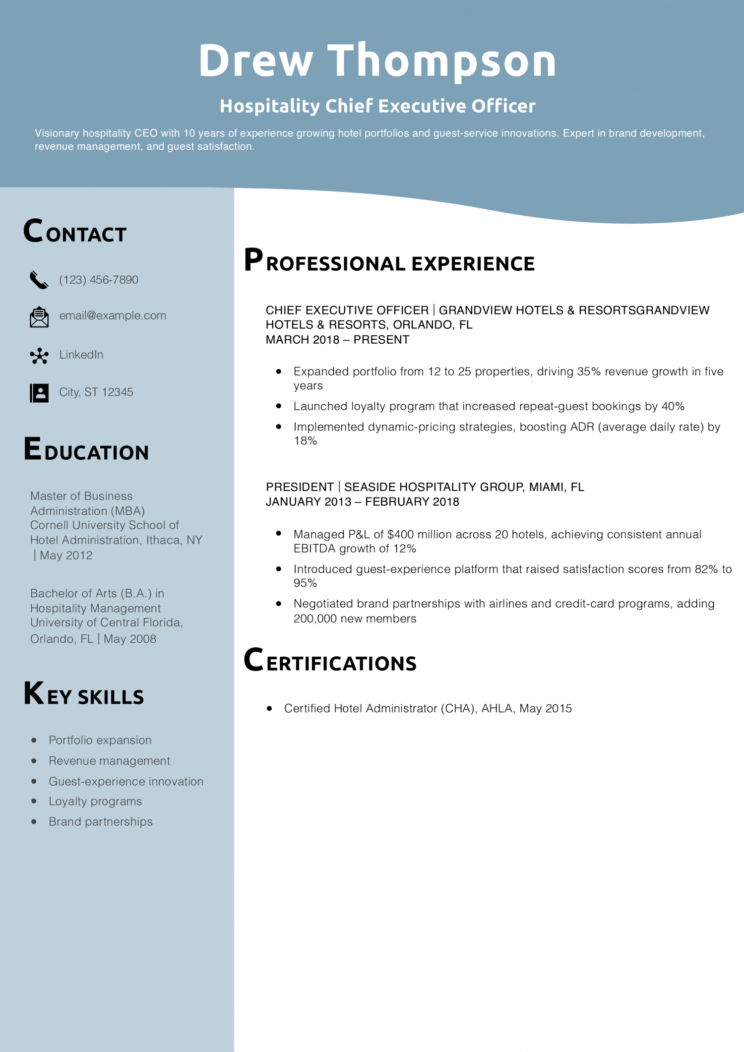 Hospitality Chief Executive Officer Resume Example