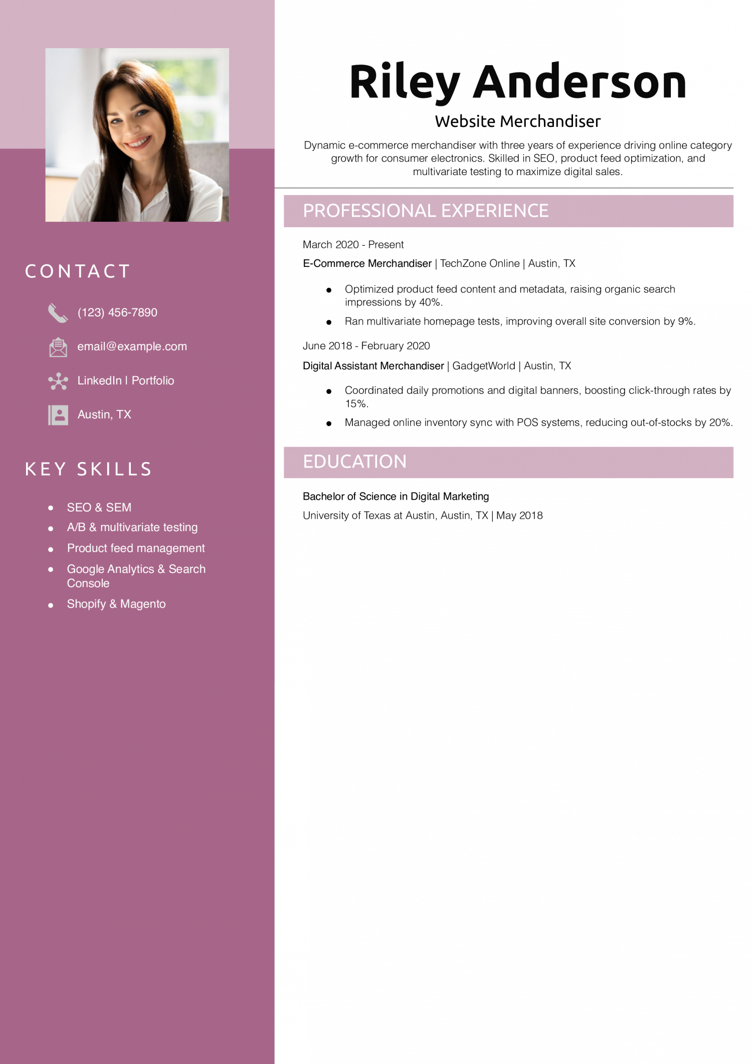 Website Merchandiser Resume Example