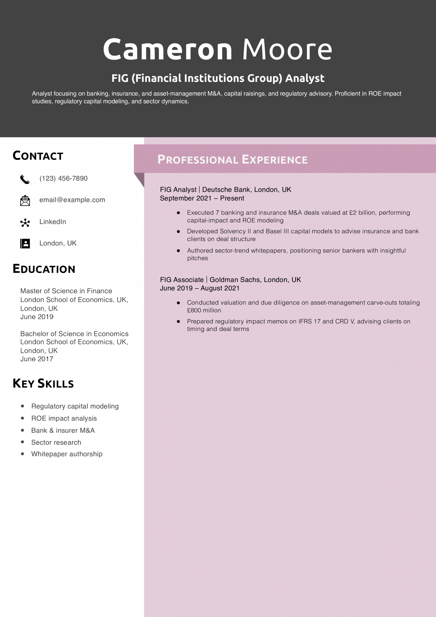 FIG (Financial Institutions Group) Analyst Resume Example