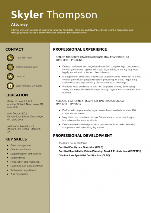 Energy Investment Banking Analyst Resume Example