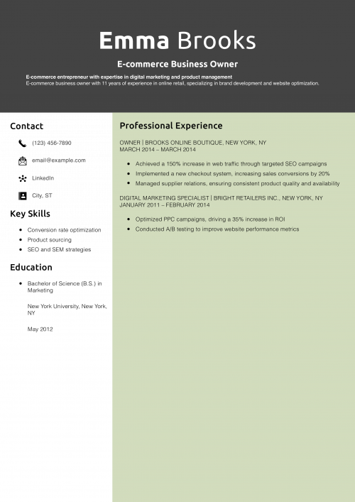 E-commerce Business Owner Resume