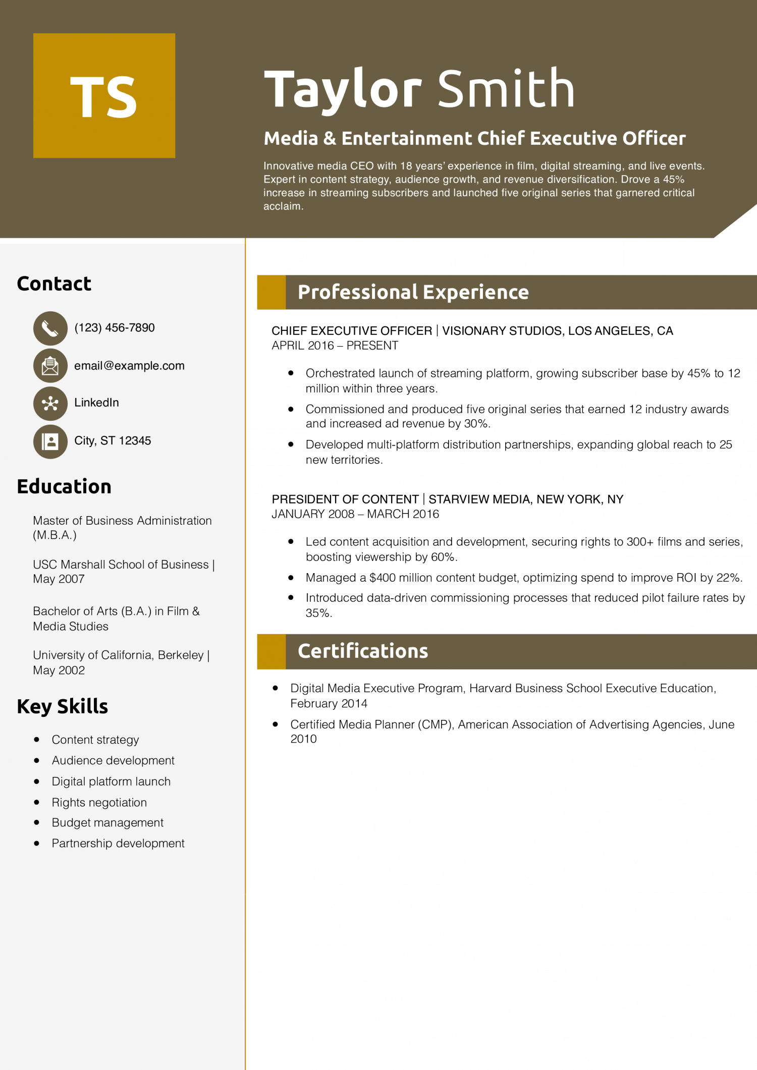Media & Entertainment Chief Executive Officer Resume Example