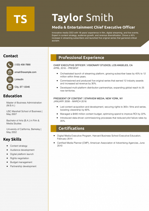 Media & Entertainment Chief Executive Officer Resume Example