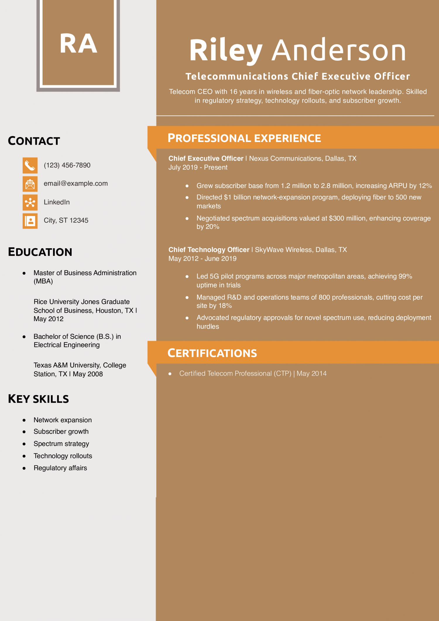 Telecommunications Chief Executive Officer Resume Example