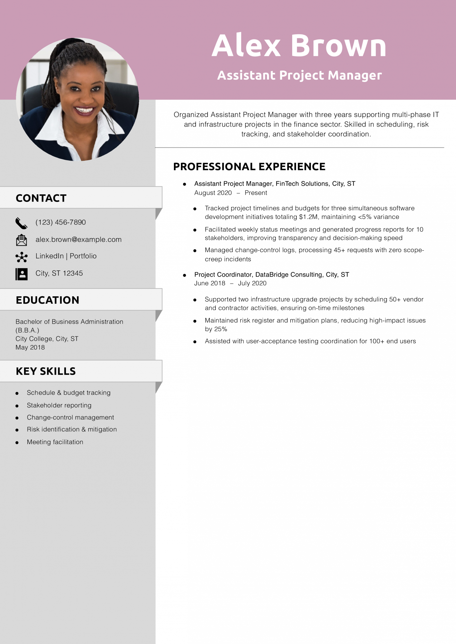Assistant Project Manager Resume Example