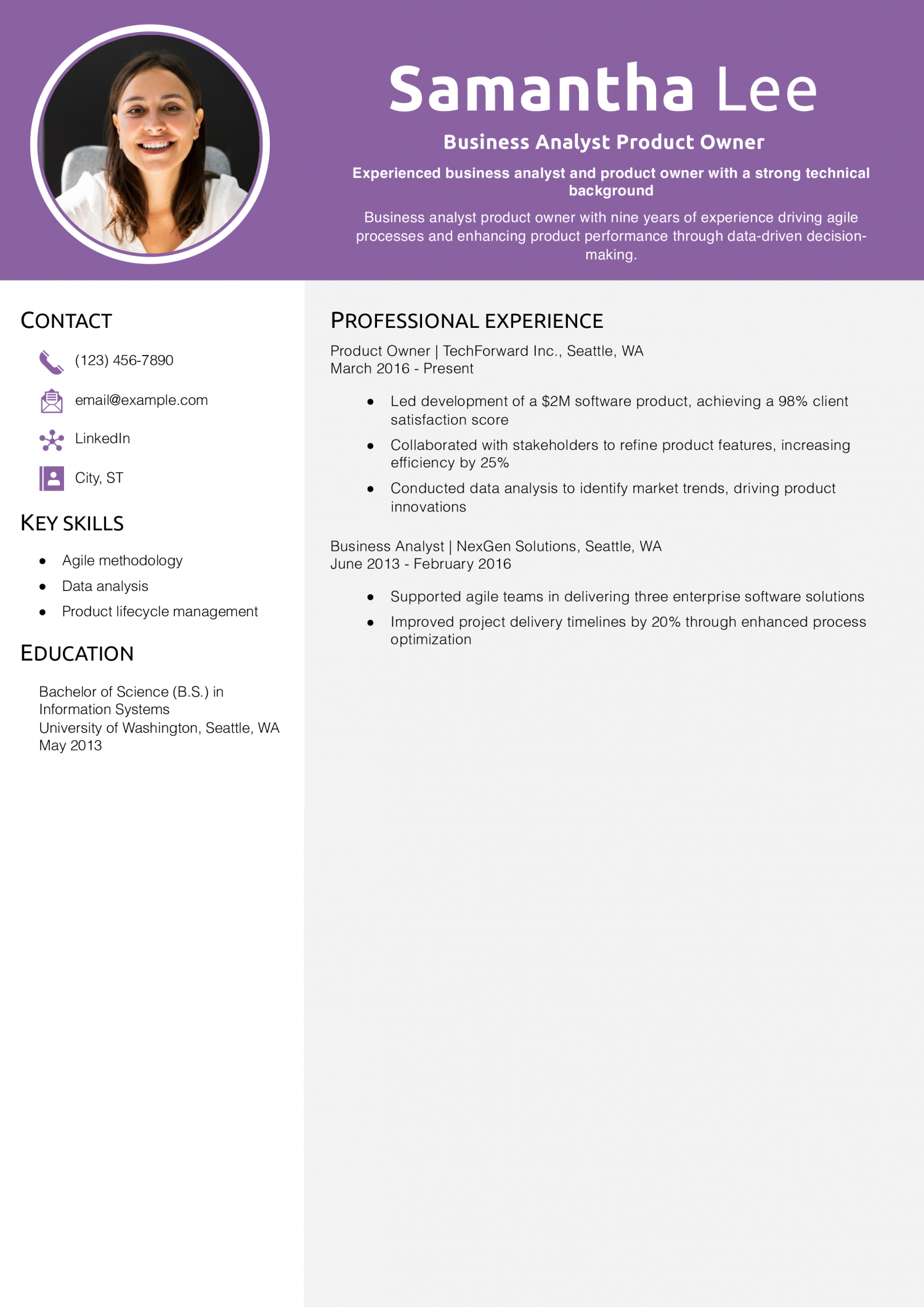 Business Analyst Product Owner Resume