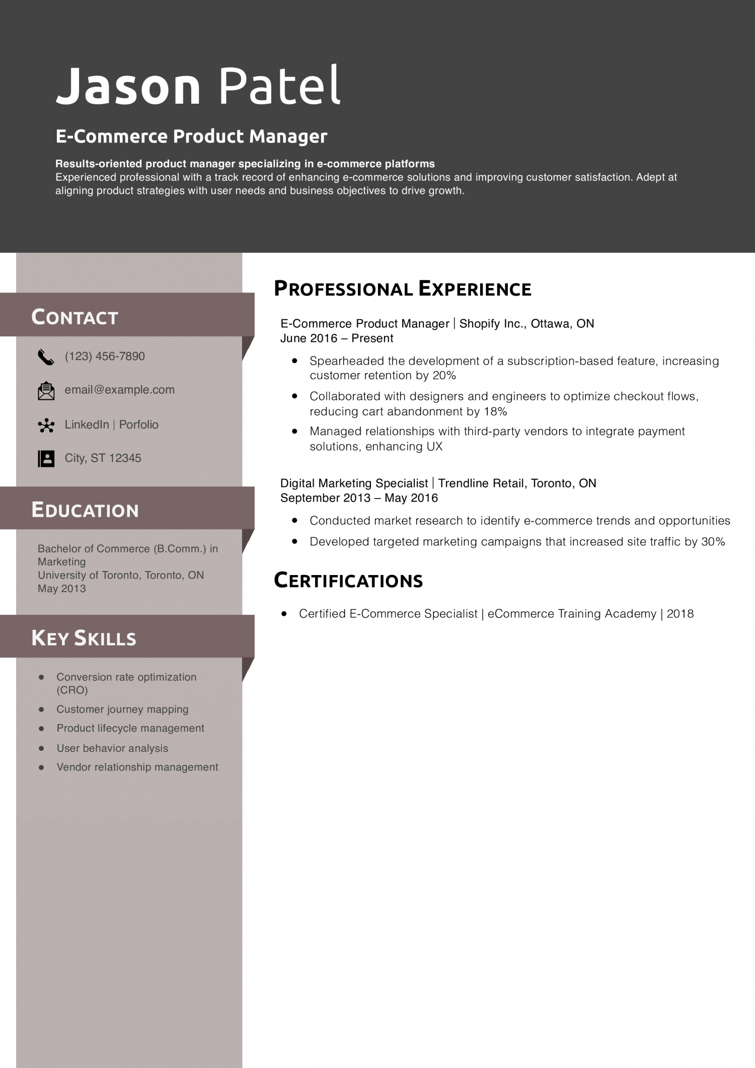 E-Commerce Product Manager Resume Example