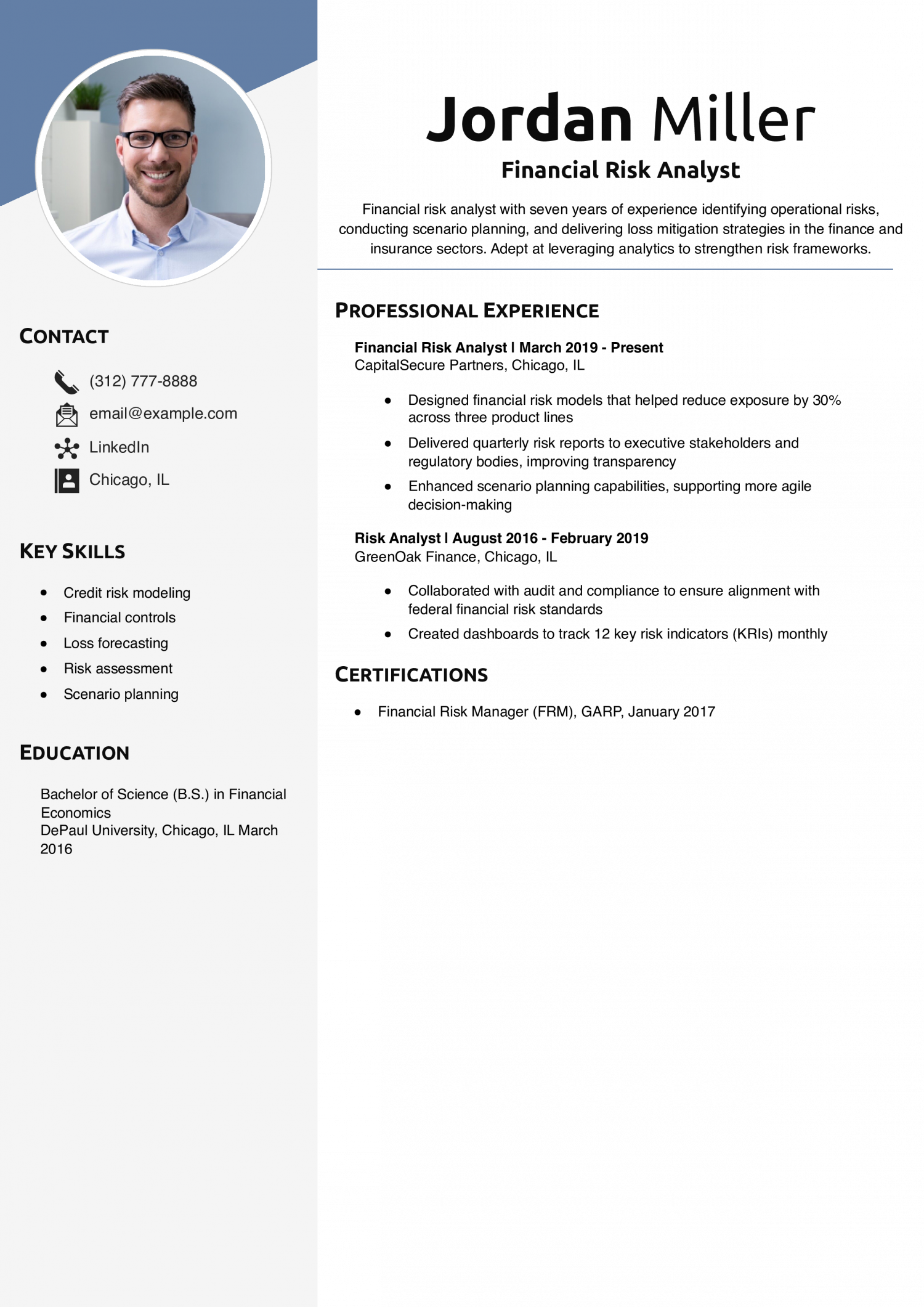 Financial Risk Analyst Resume Example