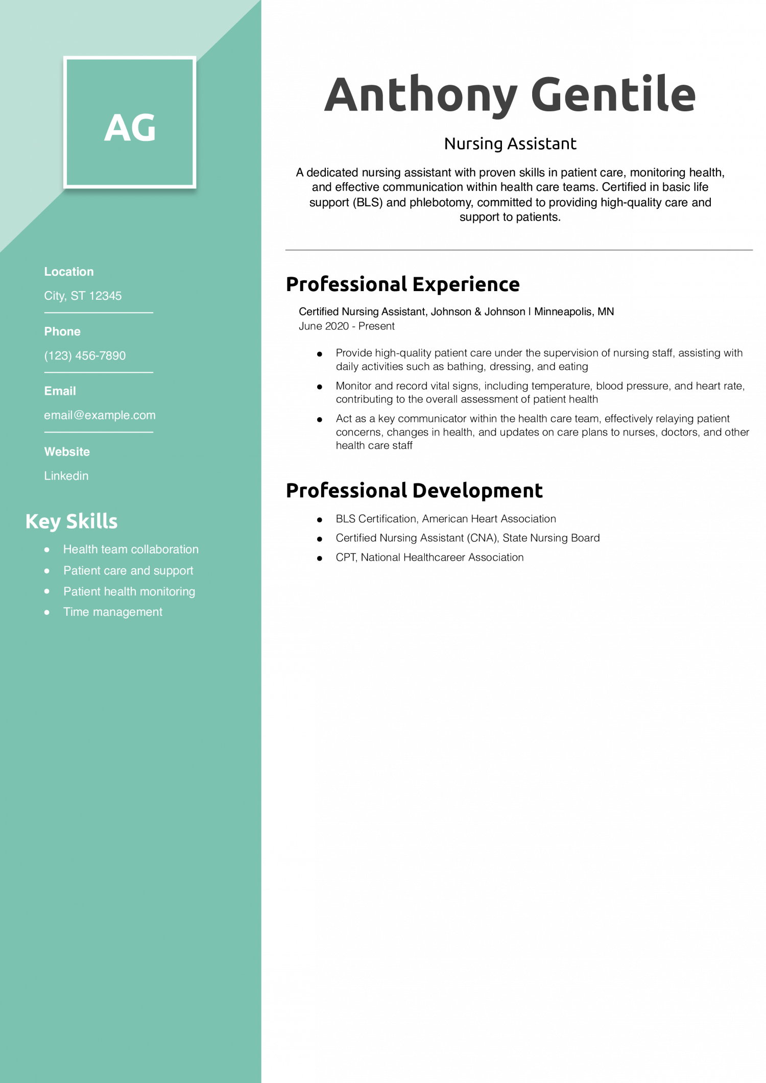 Nursing Assistant Resume Example