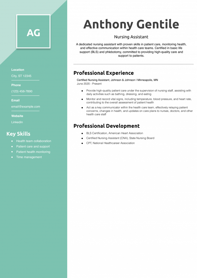 Nursing Assistant Resume Example