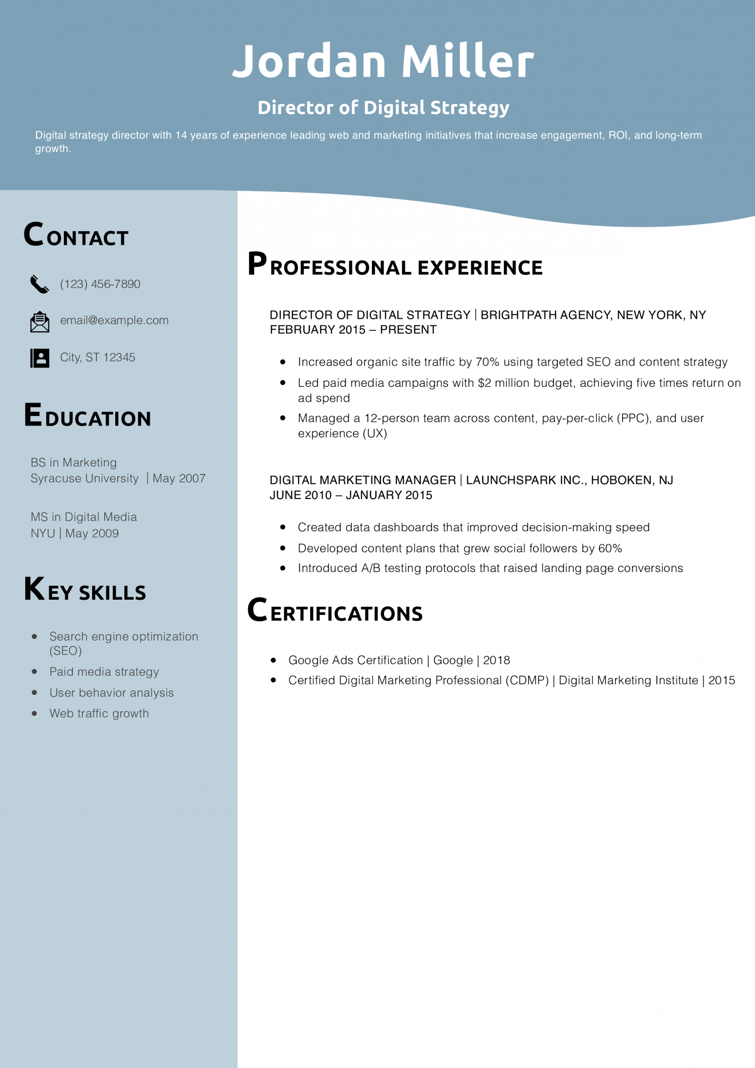 Director of Digital Strategy Resume Example