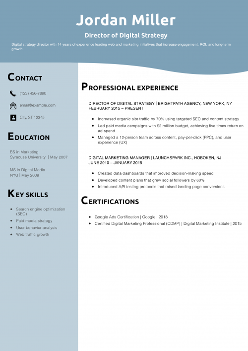 Director of Digital Strategy Resume Example