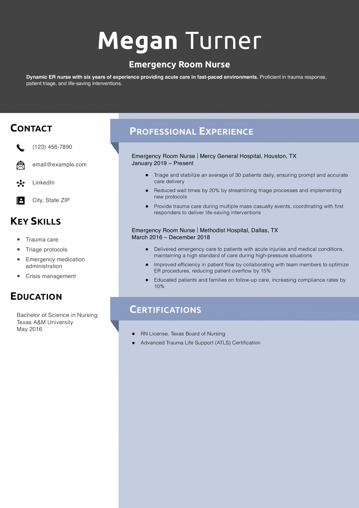 Emergency Room Nurse Resume Example