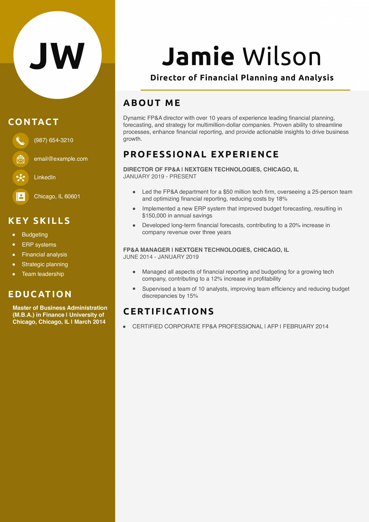 Director of Financial Planning and Analysis Resume Example