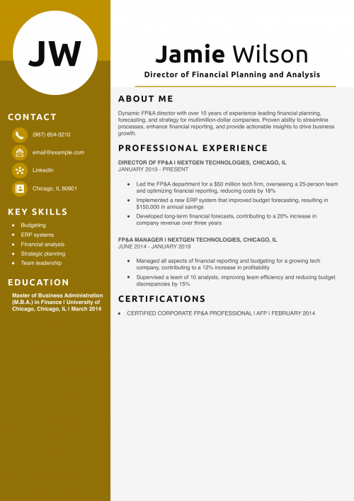 Director of Financial Planning and Analysis Resume Example