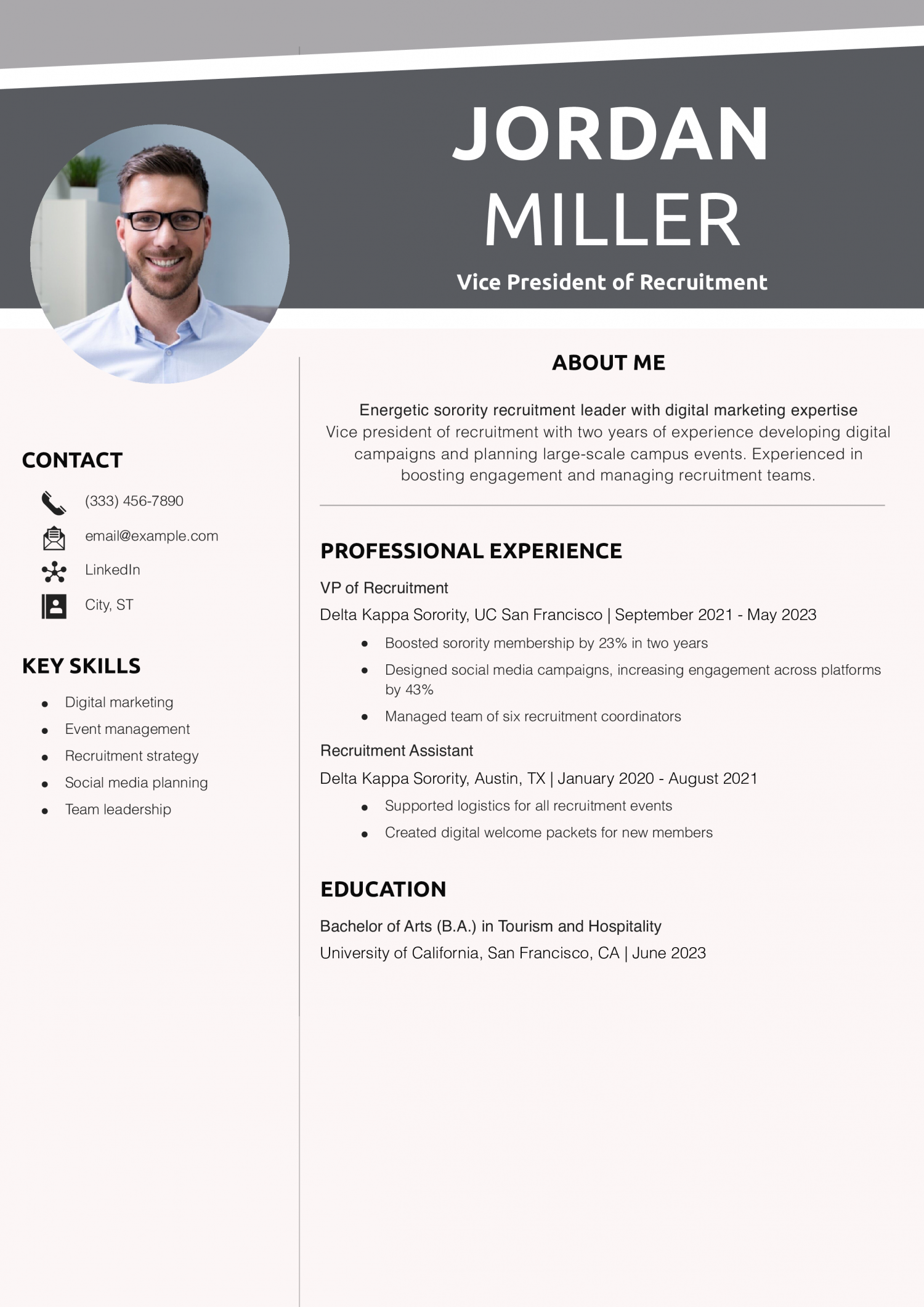 Vice President of Recruitment Resume Example