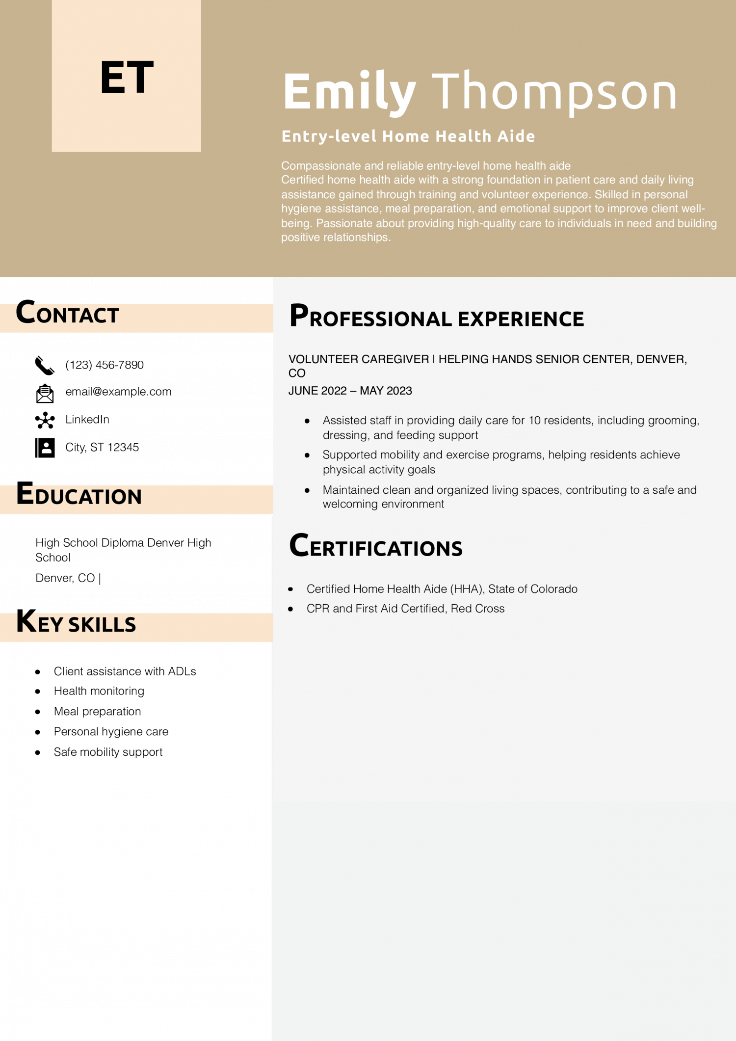 Entry-level Home Health Aide Resume Example