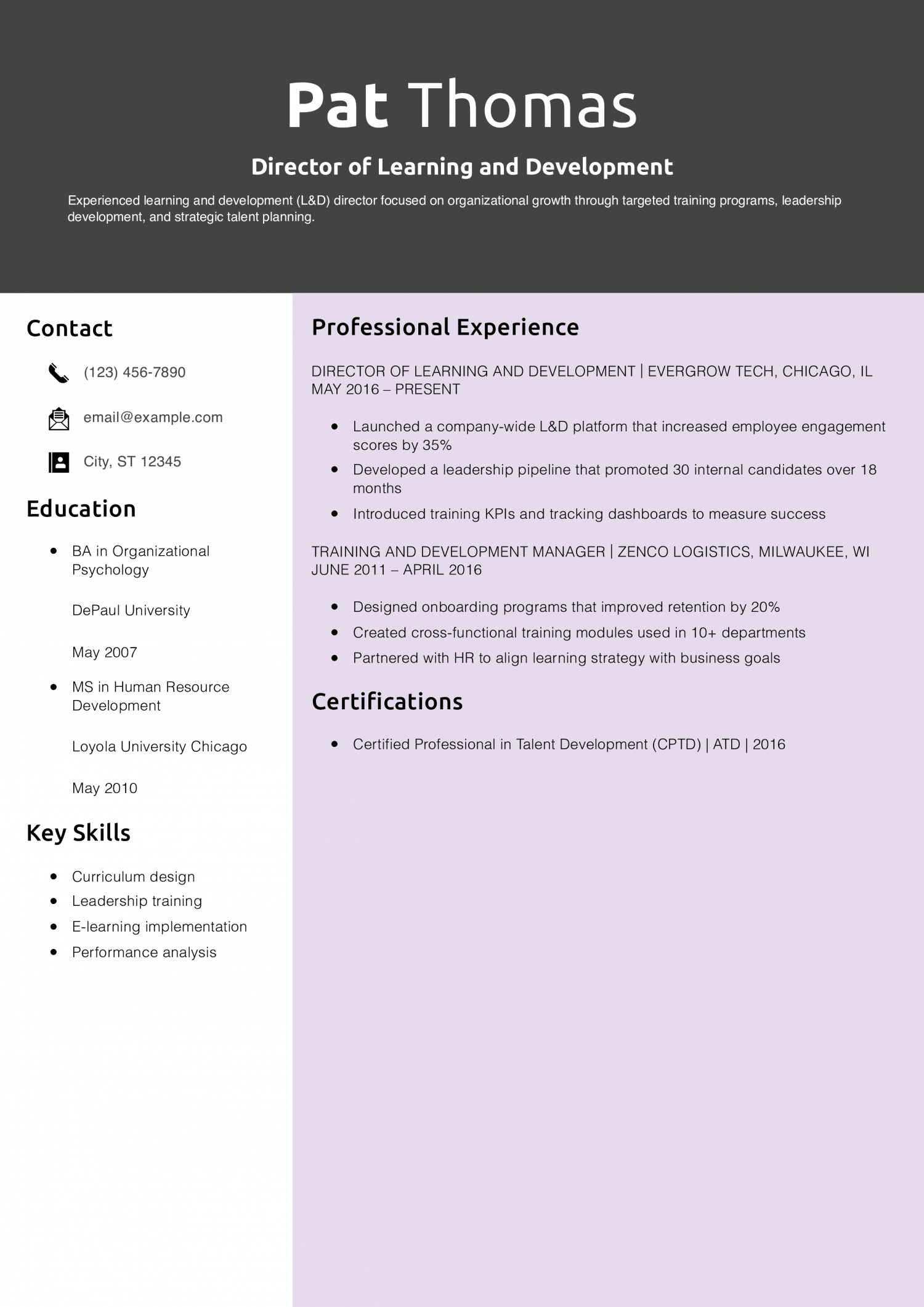 Director of Learning and Development Resume Example
