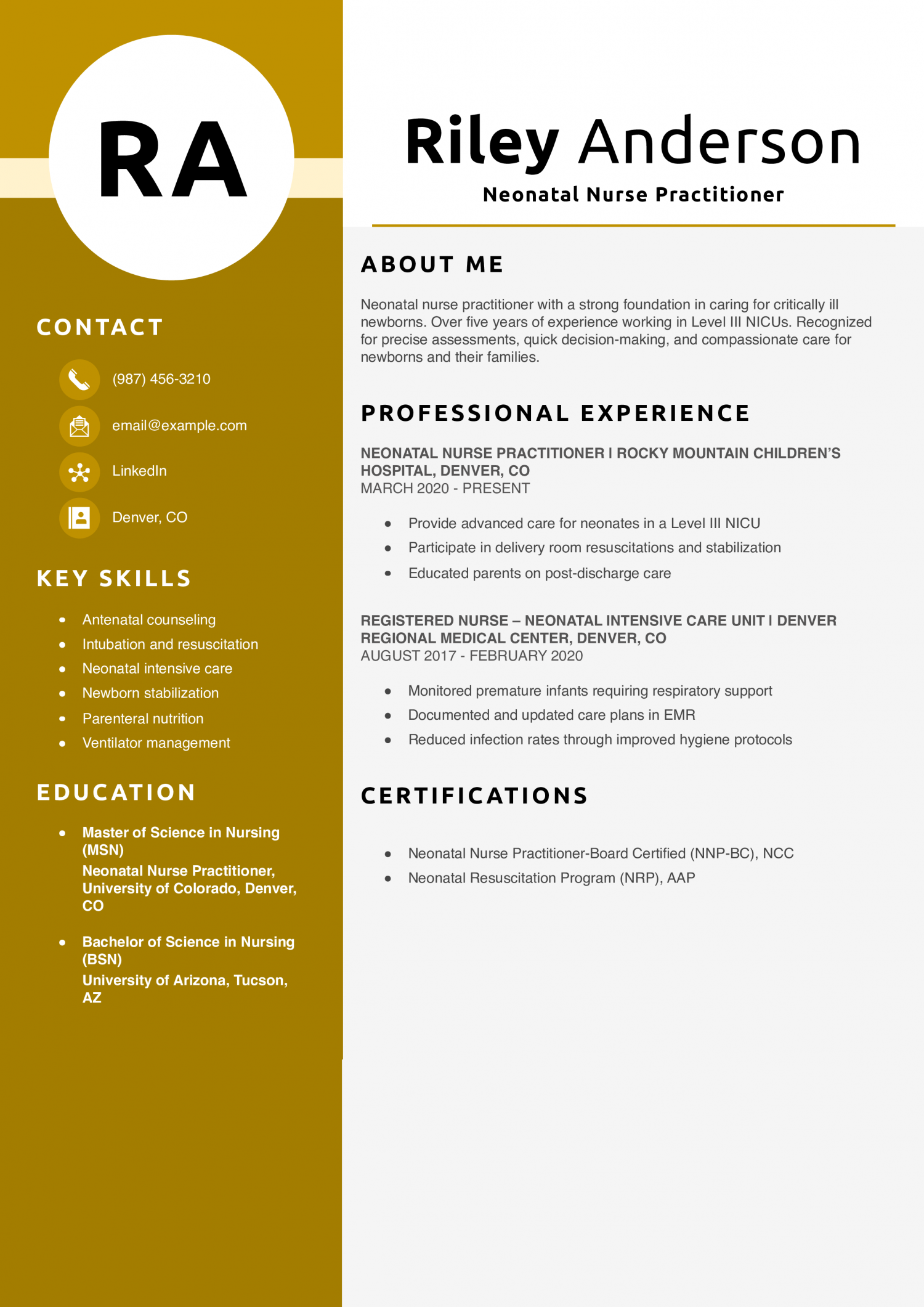 Neonatal Nurse Practitioner Resume Example