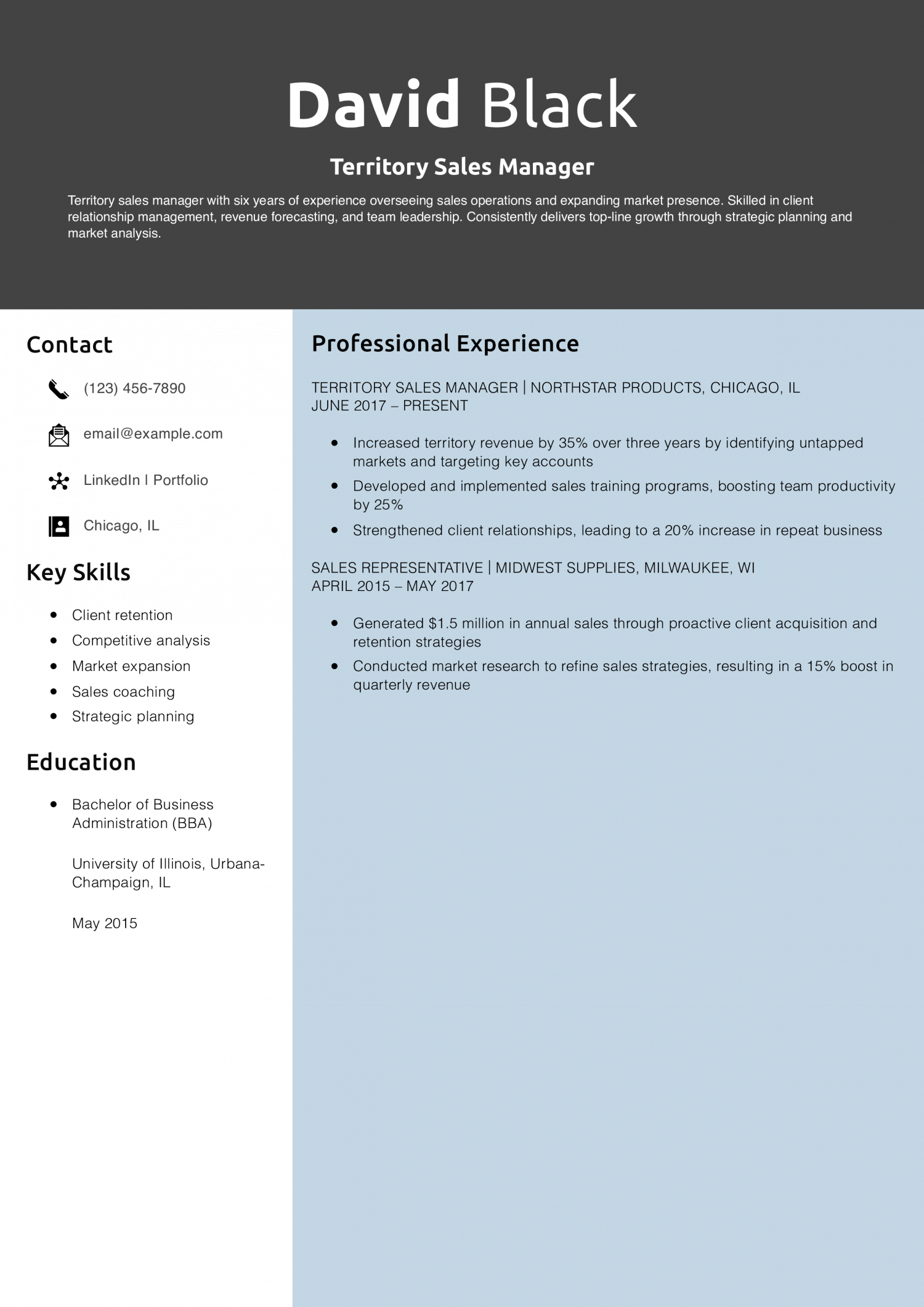 Territory Sales Manager Resume Example